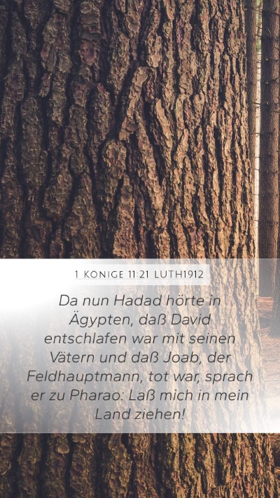 1 Könige 11:21 LUTH1912 Bible Verse Image