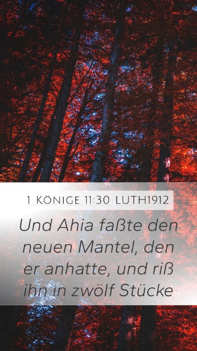 1 Könige 11:30 LUTH1912 Bible Verse Image