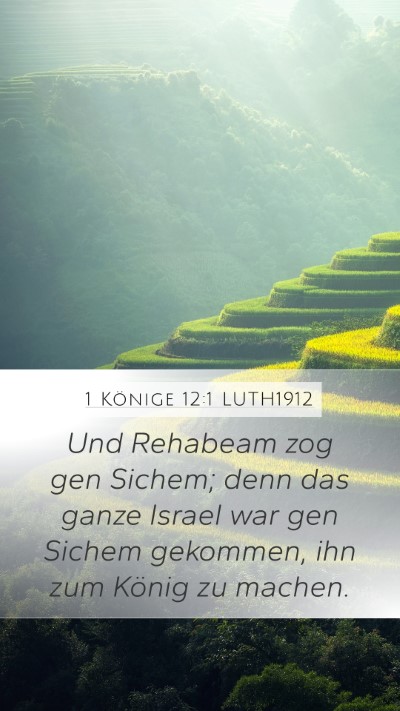 1 Könige 12:1 LUTH1912 Bible Verse Image