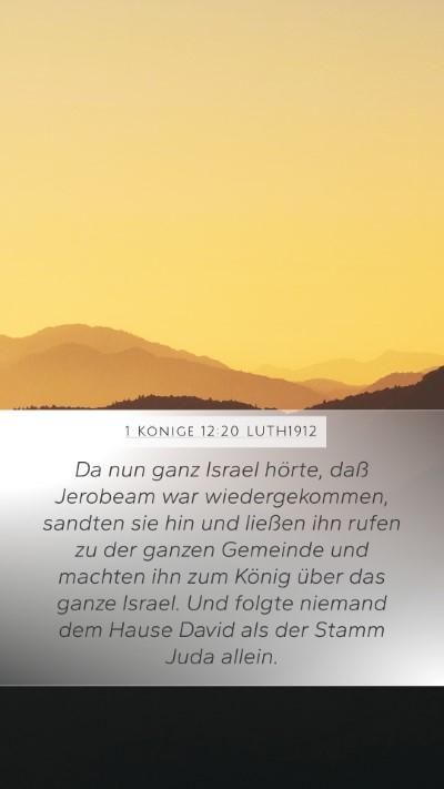 1 Könige 12:20 LUTH1912 Bible Verse Image