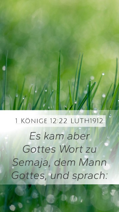 1 Könige 12:22 LUTH1912 Bible Verse Image