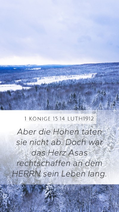 1 Könige 15:14 LUTH1912 Bible Verse Image
