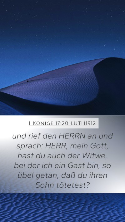1 Könige 17:20 LUTH1912 Bible Verse Image