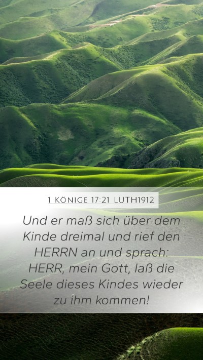 1 Könige 17:21 LUTH1912 Bible Verse Image