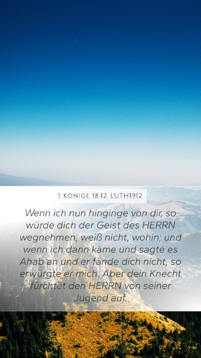 1 Könige 18:12 LUTH1912 Bible Verse Image