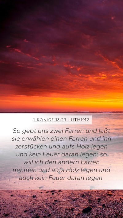 1 Könige 18:23 LUTH1912 Bible Verse Image
