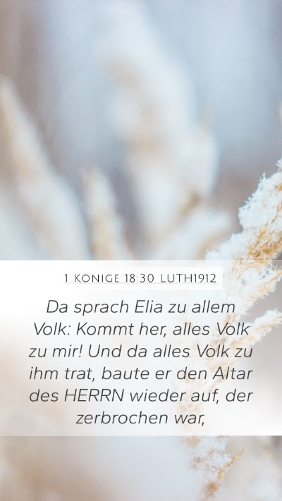 1 Könige 18:30 LUTH1912 Bible Verse Image