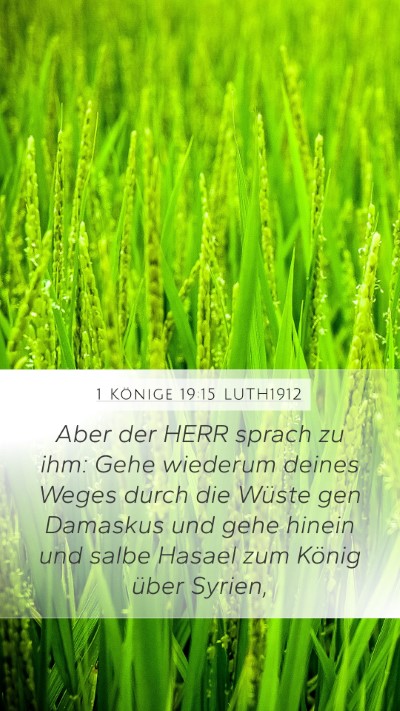 1 Könige 19:15 LUTH1912 Bible Verse Image