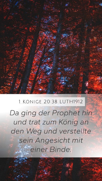 1 Könige 20:38 LUTH1912 Bible Verse Image