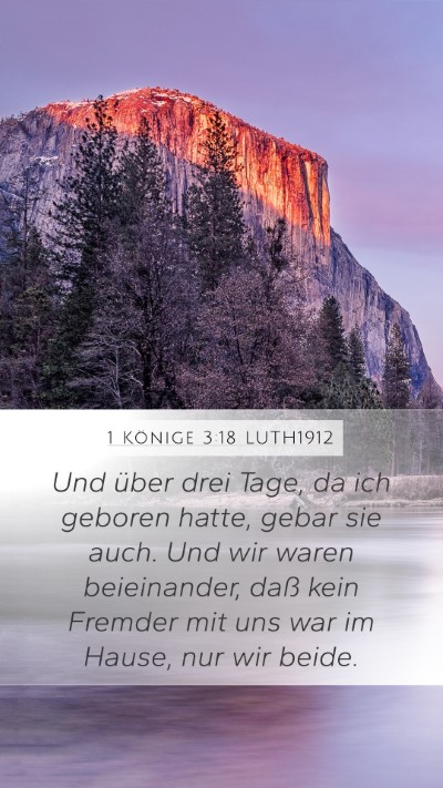 1 Könige 3:18 LUTH1912 Mobile Phone Wallpaper - Und über drei Tage, da ich geboren hatte, gebar - Mobile Bible Verse Wallpaper