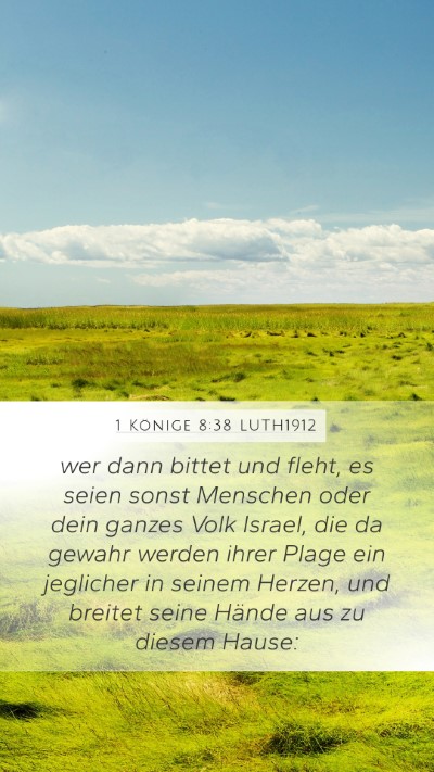 1 Könige 8:38 LUTH1912 Bible Verse Image