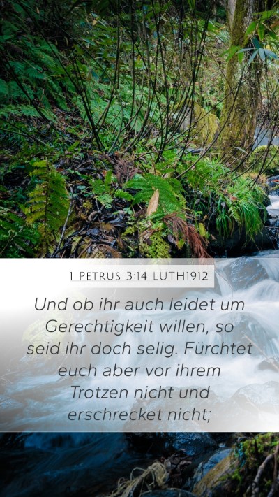1 Petrus 3:14 LUTH1912 Bible Verse Image