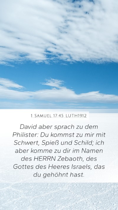 1 Samuel 17:45 LUTH1912 Bible Verse Image