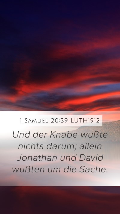 1 Samuel 20:39 LUTH1912 Mobile Phone Wallpaper - Und der Knabe wußte nichts darum; allein - Mobile Bible Verse Wallpaper