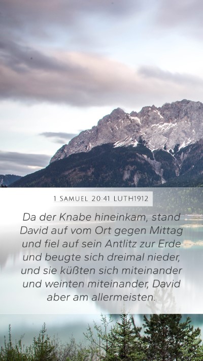 1 Samuel 20:41 LUTH1912 Bible Verse Image