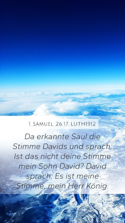 1 Samuel 26:17 LUTH1912 Bible Verse Image
