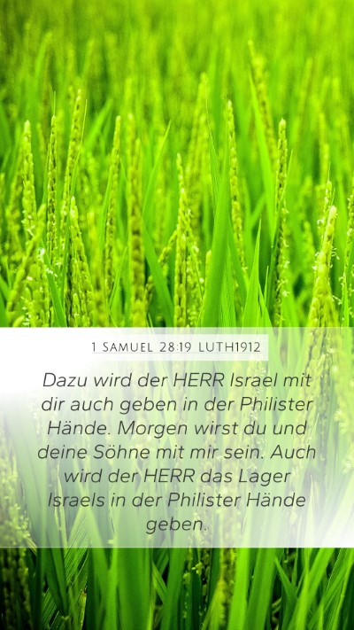 1 Samuel 28:19 LUTH1912 Bible Verse Image