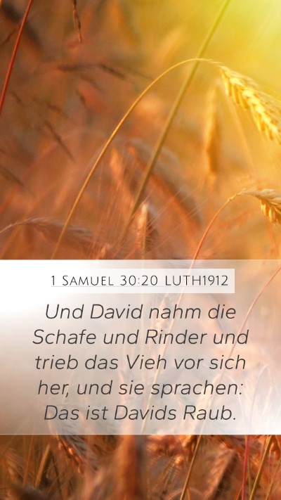 1 Samuel 30:20 LUTH1912 Mobile Phone Wallpaper - Und David nahm die Schafe und Rinder und trieb - Mobile Bible Verse Wallpaper
