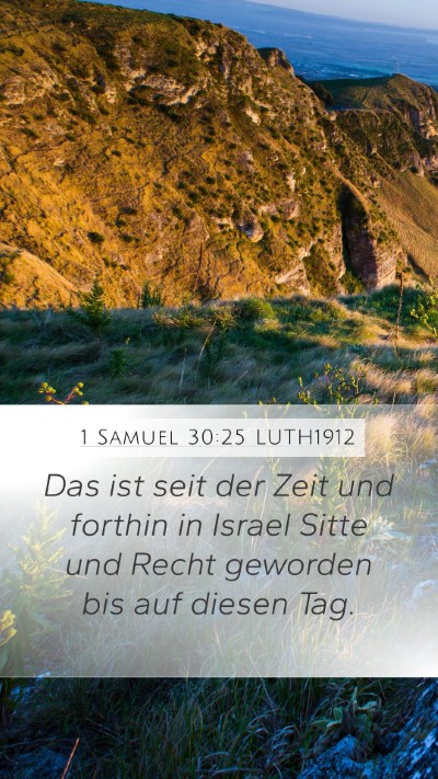 1 Samuel 30:25 LUTH1912 Bible Verse Image