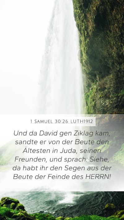 1 Samuel 30:26 LUTH1912 Bible Verse Image