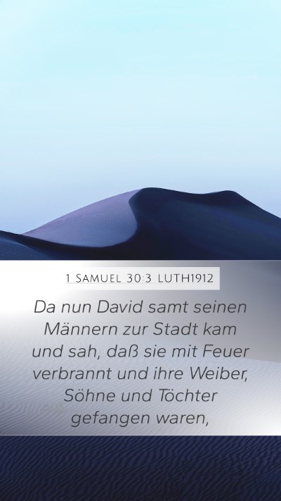 1 Samuel 30:3 LUTH1912 Bible Verse Image