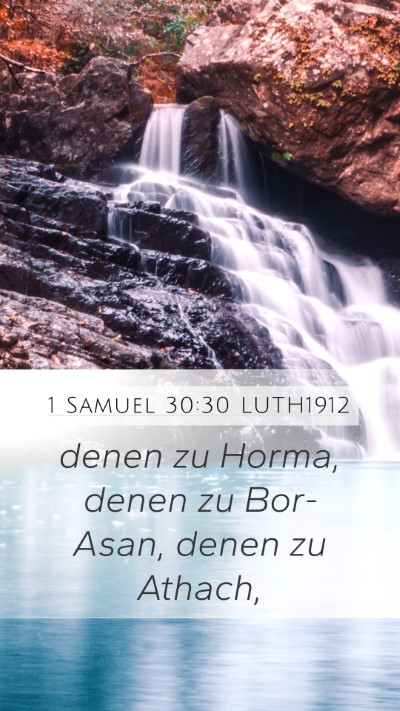 1 Samuel 30:30 LUTH1912 Bible Verse Image