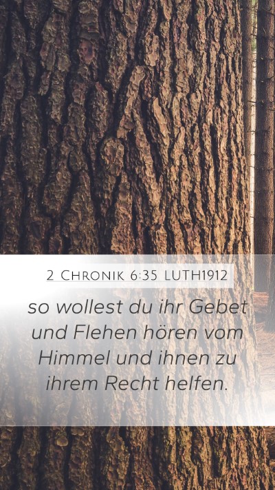 2 Chronik 6:35 LUTH1912 Bible Verse Image