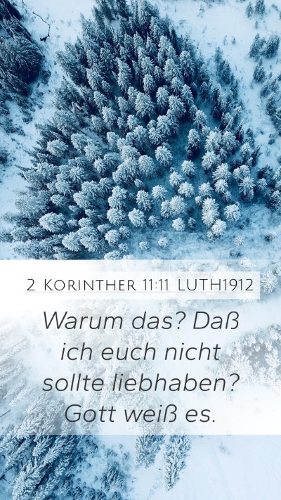 2 Korinther 11:11 LUTH1912 Bible Verse Image