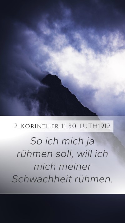 2 Korinther 11:30 LUTH1912 Bible Verse Image