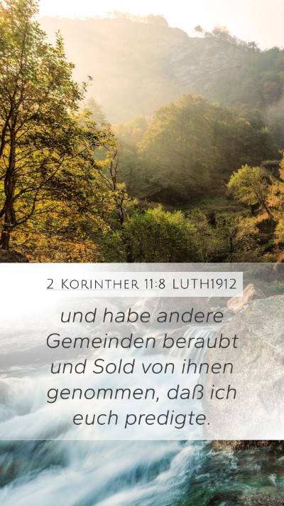 2 Korinther 11:8 LUTH1912 Bible Verse Image