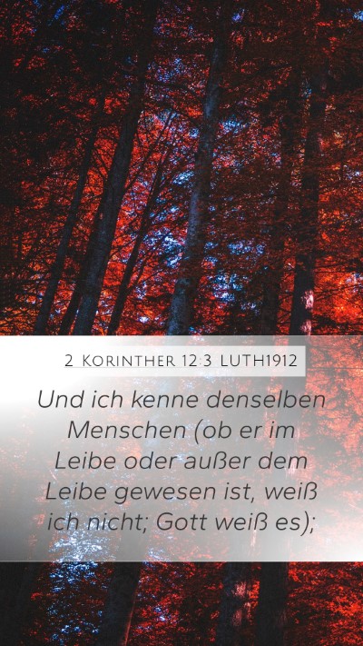 2 Korinther 12:3 LUTH1912 Bible Verse Image