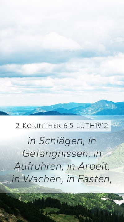 2 Korinther 6:5 LUTH1912 Bible Verse Image