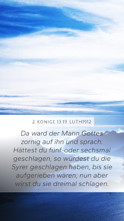 2 Könige 13:19 LUTH1912 Bible Verse Image