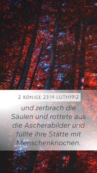 2 Könige 23:14 LUTH1912 Bible Verse Image