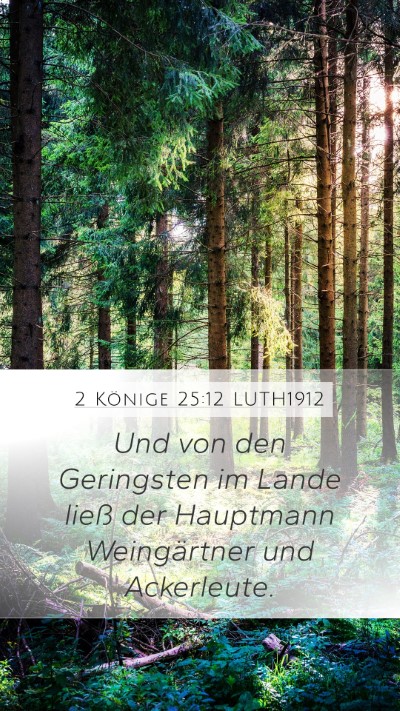2 Könige 25:12 LUTH1912 Bible Verse Image