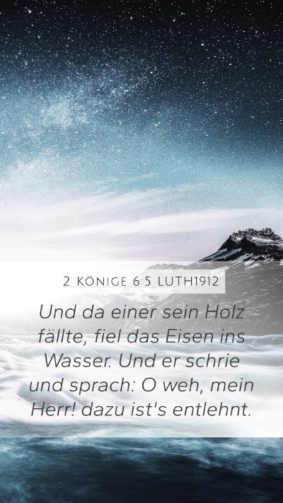 2 Könige 6:5 LUTH1912 Bible Verse Image