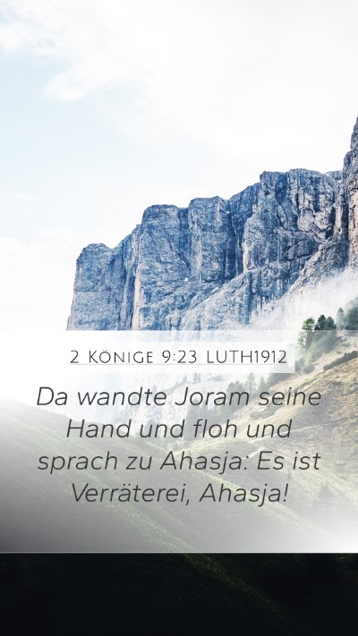 2 Könige 9:23 LUTH1912 Bible Verse Image