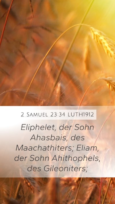 2 Samuel 23:34 LUTH1912 Bible Verse Image