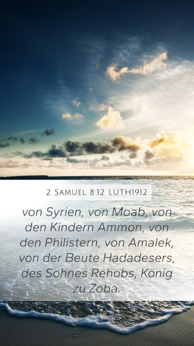 2 Samuel 8:12 LUTH1912 Bible Verse Image