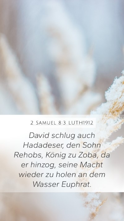 2 Samuel 8:3 LUTH1912 Bible Verse Image