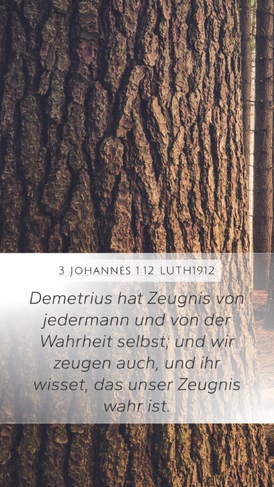 3 Johannes 1:12 LUTH1912 Bible Verse Image