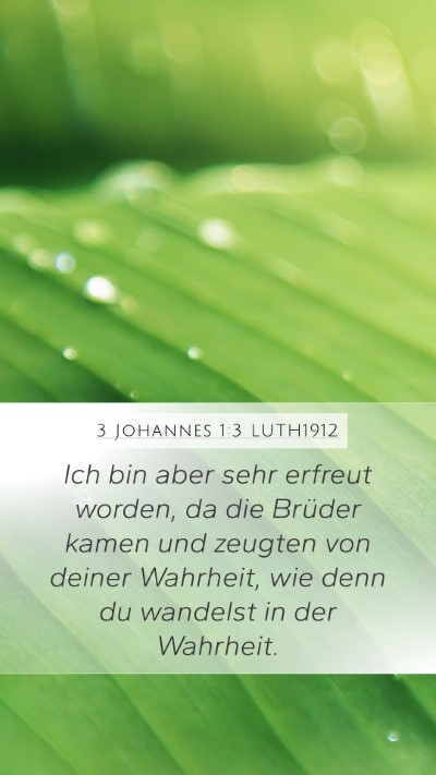 3 Johannes 1:3 LUTH1912 Bible Verse Image