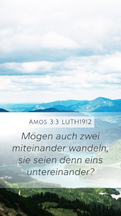 Amos 3:3 LUTH1912 Bible Verse Image
