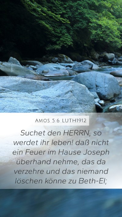 Amos 5:6 LUTH1912 Bible Verse Image