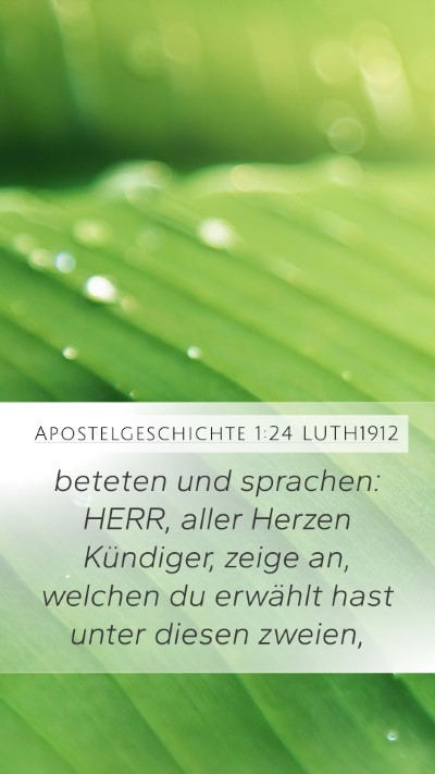Apostelgeschichte 1:24 LUTH1912 Bible Verse Image
