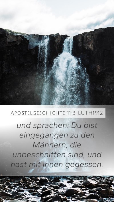 Apostelgeschichte 11:3 LUTH1912 Bible Verse Image