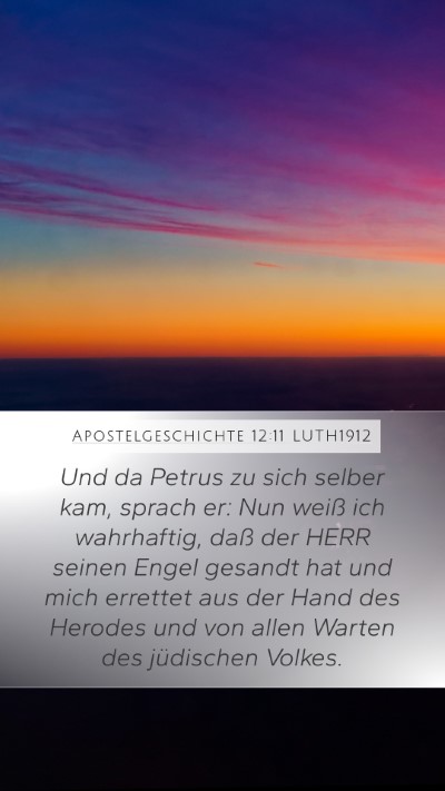 Apostelgeschichte 12:11 LUTH1912 Bible Verse Image