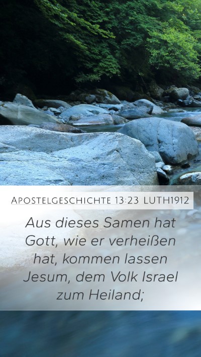 Apostelgeschichte 13:23 LUTH1912 Bible Verse Image