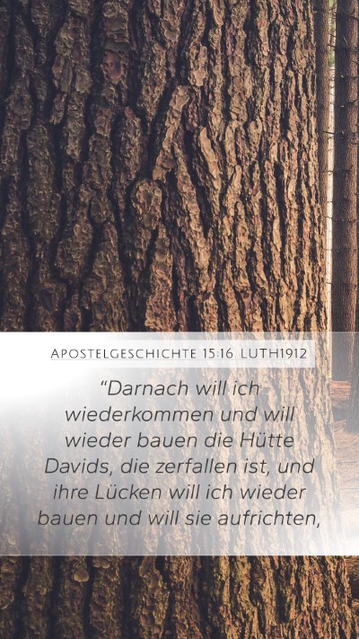 Apostelgeschichte 15:16 LUTH1912 Bible Verse Image