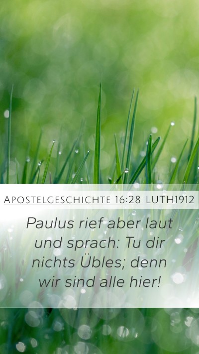 Apostelgeschichte 16:28 LUTH1912 Mobile Phone Wallpaper - Paulus rief aber laut und sprach: Tu dir nichts - Mobile Bible Verse Wallpaper